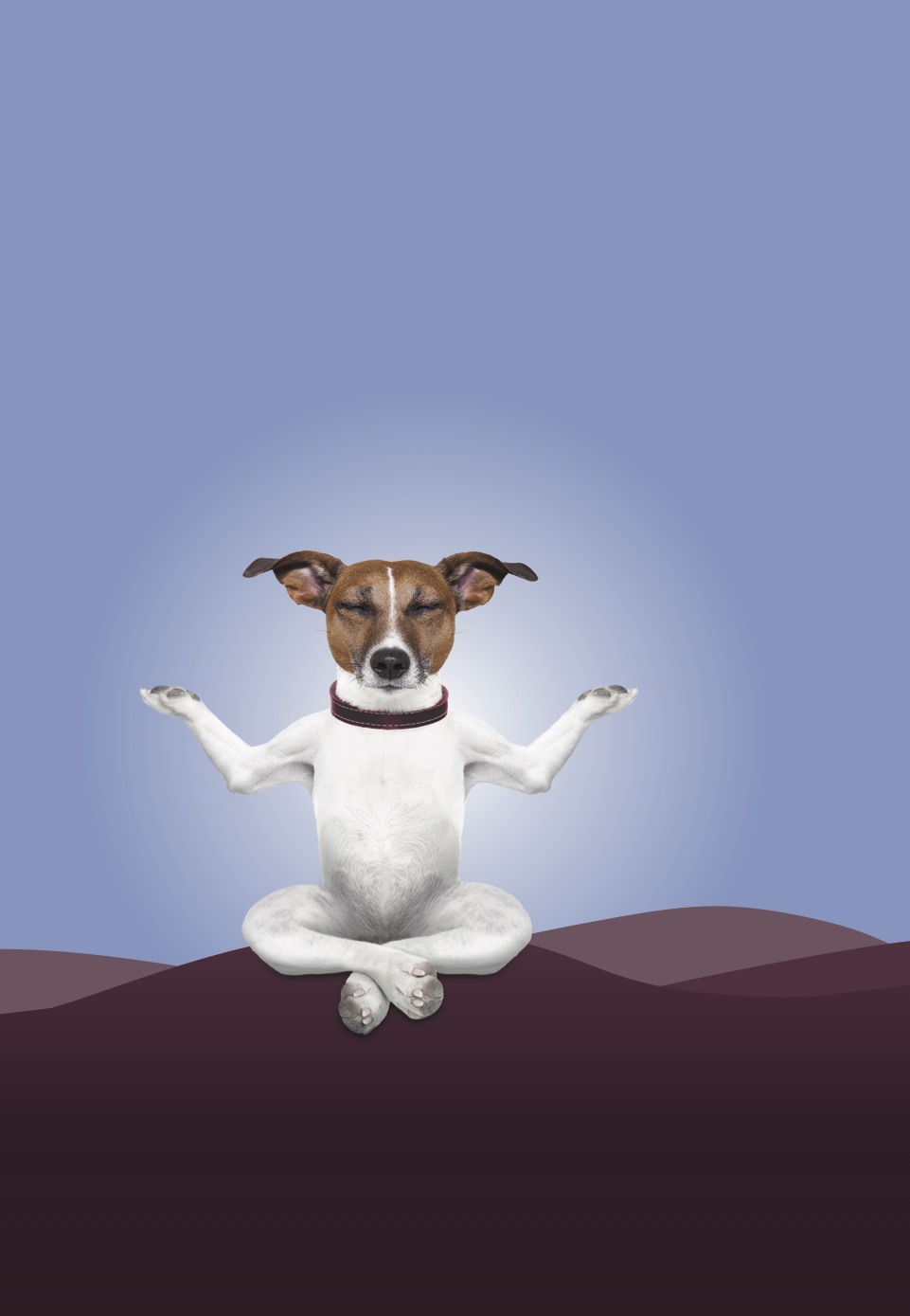 Playful Mindfulness Learning Lab (Live, in-person) Late Winter 2023